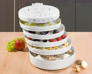 Palettes de séchoir à légumes