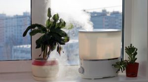 Isolation acoustique