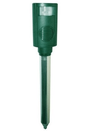 นกและสัตว์ป่าน่ากลัวด้วยเซ็นเซอร์อินฟราเรด WT321