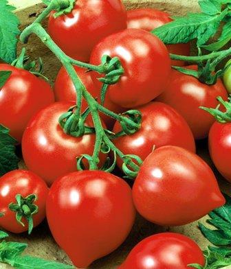 Les meilleures variétés de tomates et de tomates en 2026