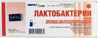Meilleurs probiotiques après les antibiotiques en 2025-2026