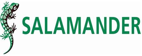 Tingkap PVC terbaik pada tahun 2026