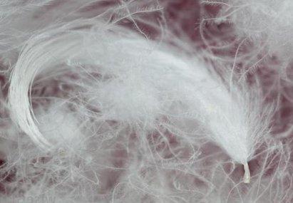 Meilleur remplisseur d'oreillers en 2026