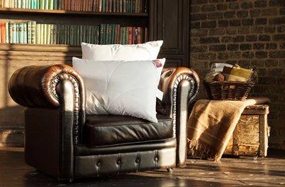 Meilleurs oreillers en 2026