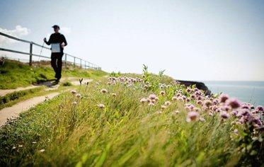 أفضل أقطاب مشي النورديك في عام 2026