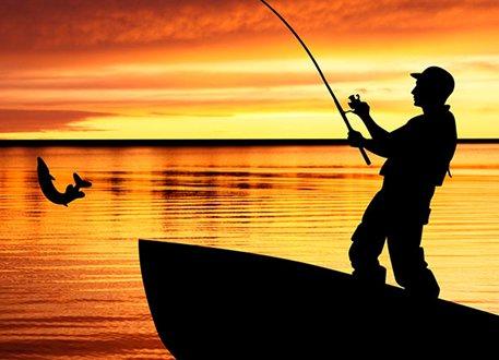 Cara memilih batang pemintal