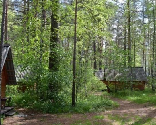 2025'de Altay'daki en iyi rekreasyon merkezleri