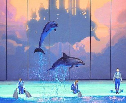 Meilleur océanarium de Moscou en 2026