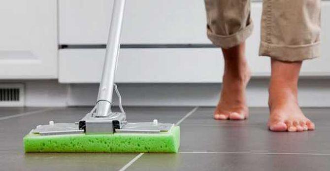 Vadrouille spongieuse