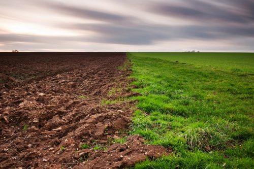 Les meilleurs motoblocks